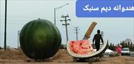 چاله سنبک مکانی منحصر به فرد  برای کشت هندوانه دیمی در ایران وجهان